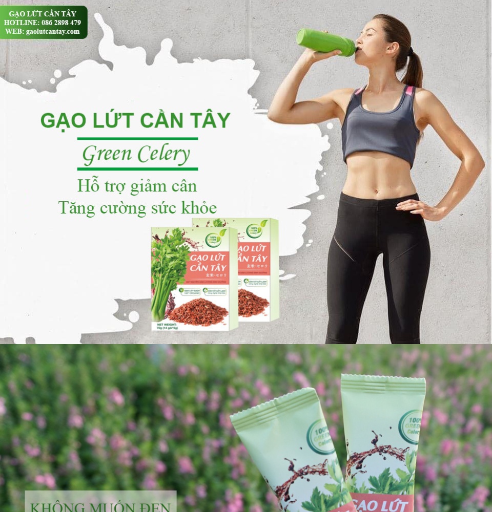 Bột cần tây gạo lứt [Chính Hãng] tạm biệt mỡ thừa đẹp đáng đẹp da (Hộp 14 gói)