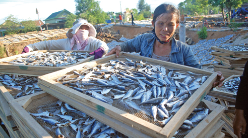 Cá Khô Chiên Đường, Khô Cá Nục không Đầu Đặc Sản Cà Mau Thịt Săn Chắc, Thơm Ngon, Giàu Dinh Dưỡng Hút Chân Không Túi 200GRAM, 500Gram, 1 Kg