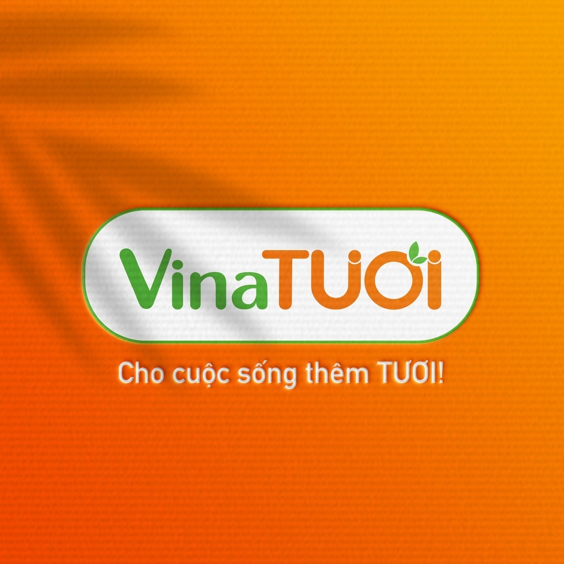 Vinatuoi.com