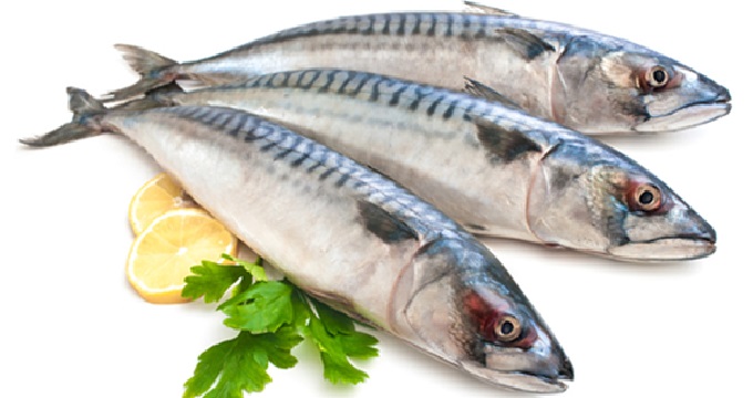 Cá nục Nhật / cá saba Nhật - Đóng hút chân không (1kg ) Làm món cá kho cực bắt cơm