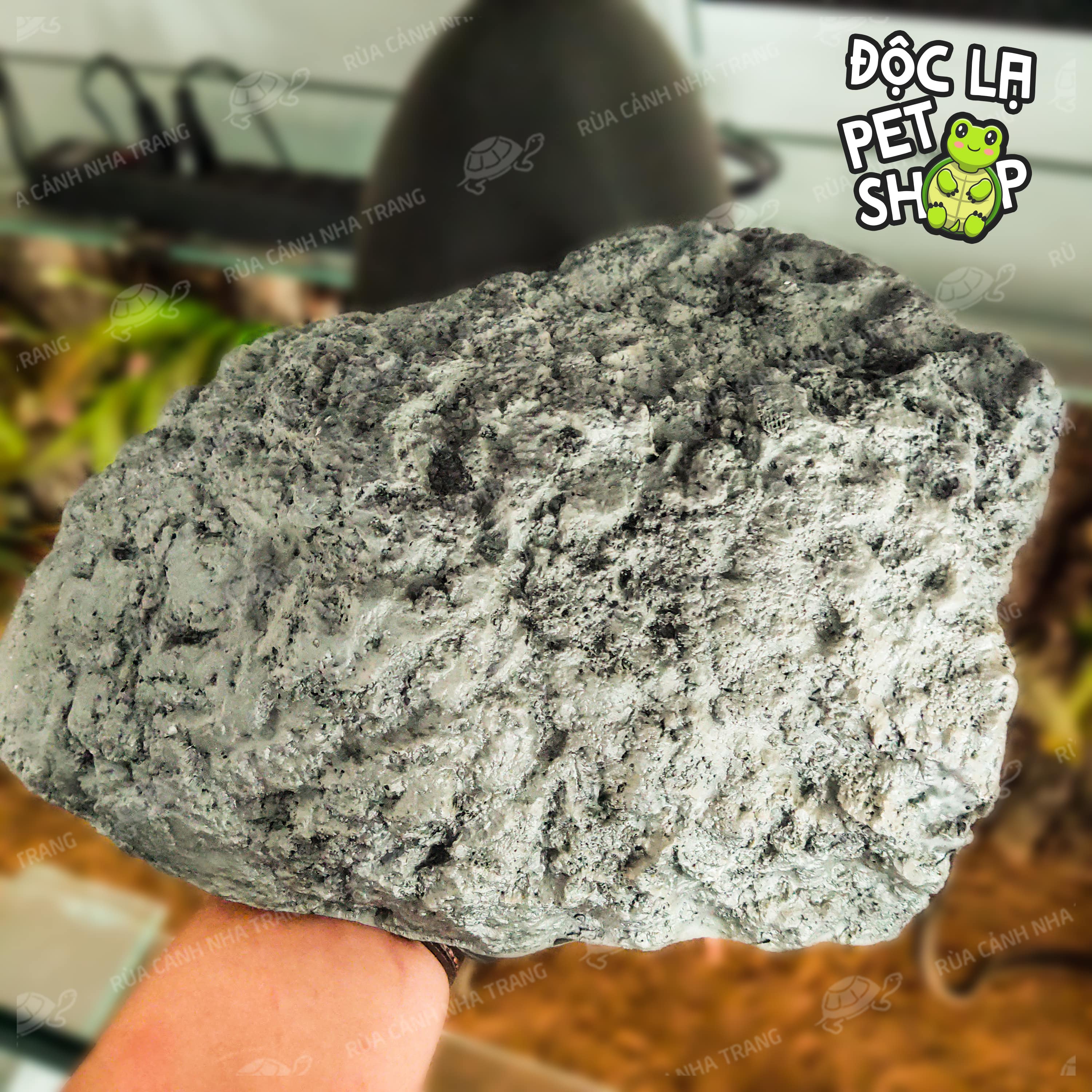 HANG TRÚ CHO BÒ SÁT, THÚ CƯNG NHỎ CÁ CẢNH, DECOR HỒ CÁ