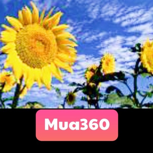 Mua360