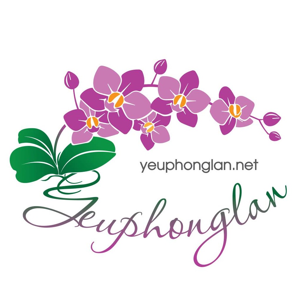 Yêu Phong Lan
