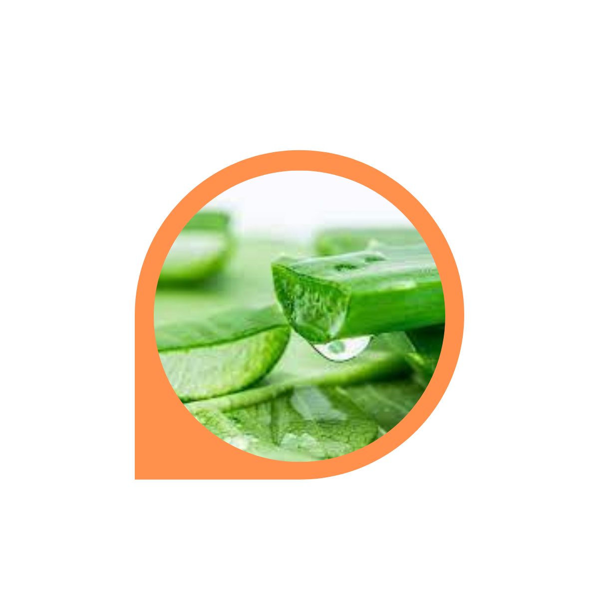 Combo 10 chai Kem tan mỡ bụng, Gel tan mỡ bụng Quế Olic - 4 Girls