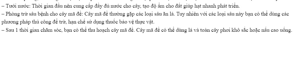 Hạt giống rau mã đề - cây má đề PSV86 (hạt giống bmt )