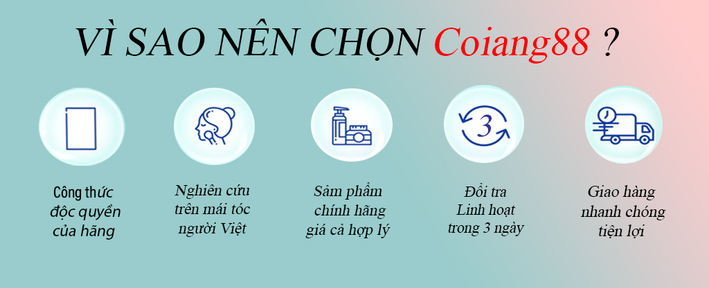 Thuốc nhuộm tóc màu TÍM TRÀ không cần thuốc tẩy tóc coiang88