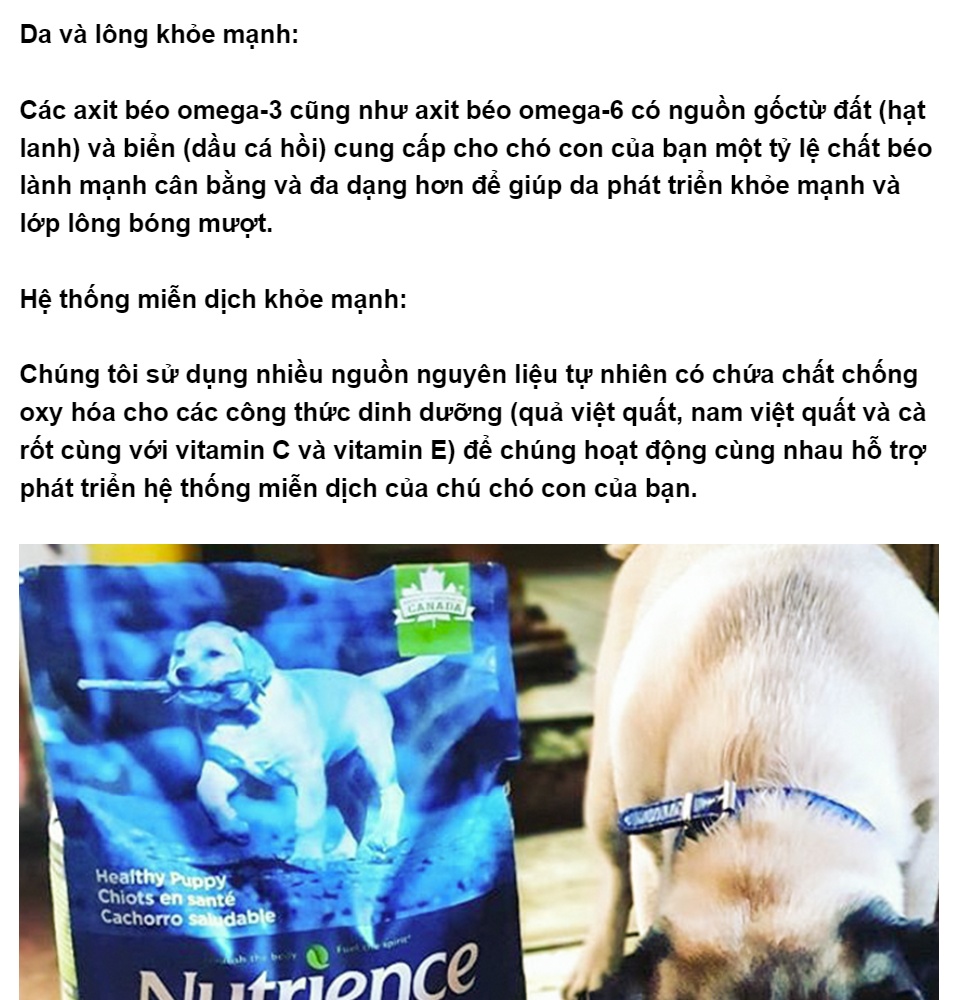  Bỏ sỉ Thức Ăn Cho Chó Con Poodle Nutrience Original - Thịt Gà Rau Củ & Trái giá rẻ