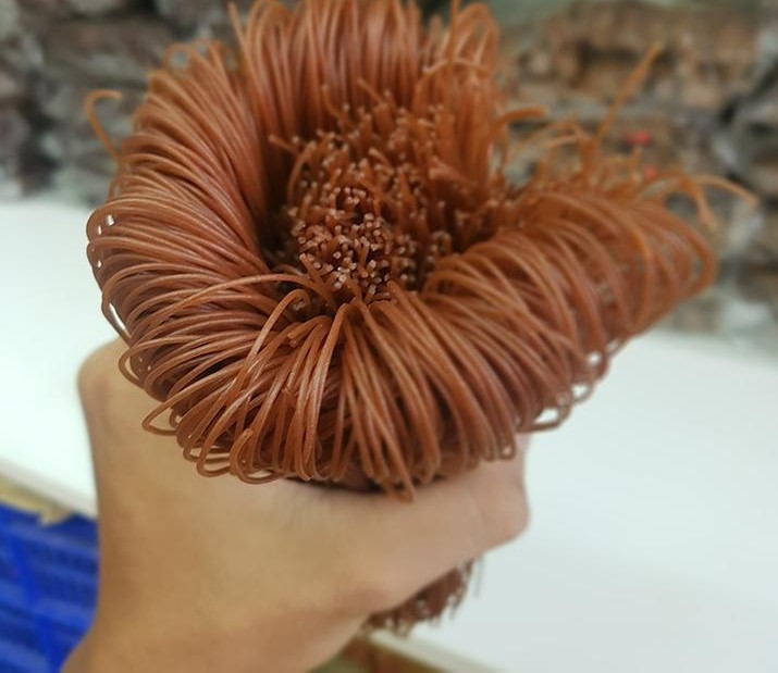 BÚN GẠO LỨT/LỨC KHÔ PHƯƠNG NAM 500GR - EATCLEAN, GIẢM CÂN - GIAHOANGATZ