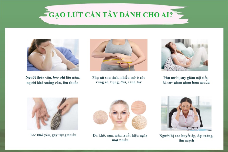 Bột cần tây gạo lứt [Chính Hãng] tạm biệt mỡ thừa đẹp đáng đẹp da (Hộp 14 gói)