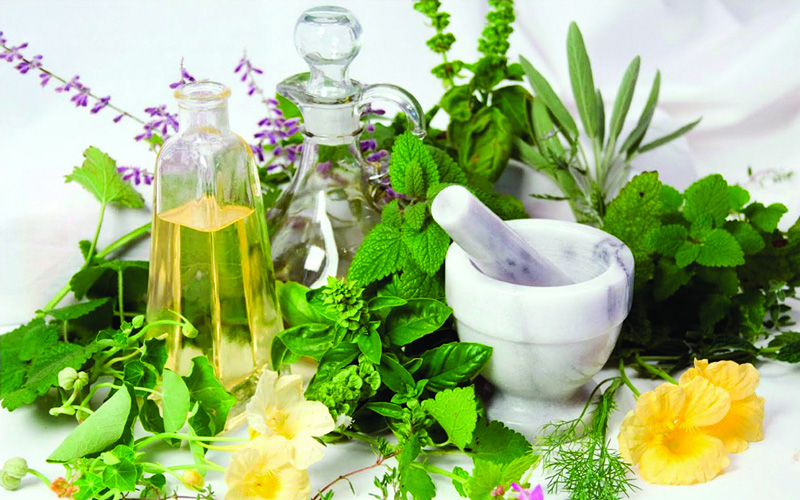 Tinh dầu thảo dược thiên nhiên Phúc Minh Khang 3 trong 1 chỉ cần bôi không cần uống hết ho hết sổ mũi long đờm