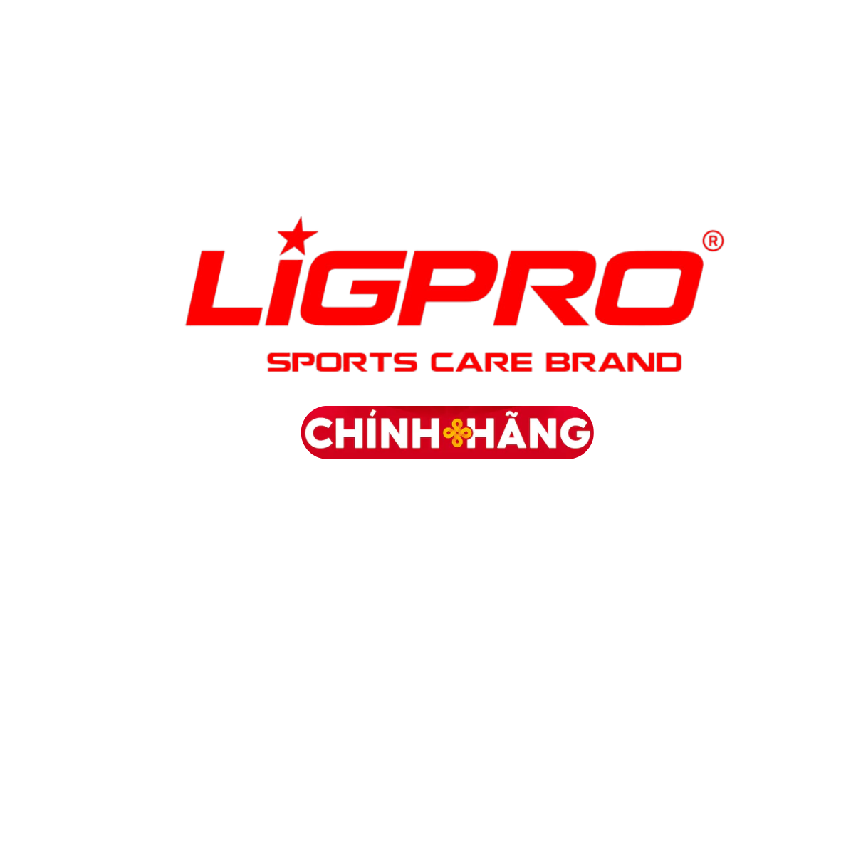 LIGPRO Vietnam npp
