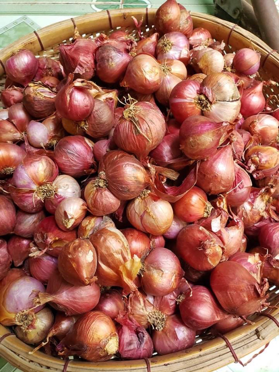 Củ hành tím LOẠI 1,tỏi tía lai giá bình ổn mùa dịch.giao nhanh HCM.,