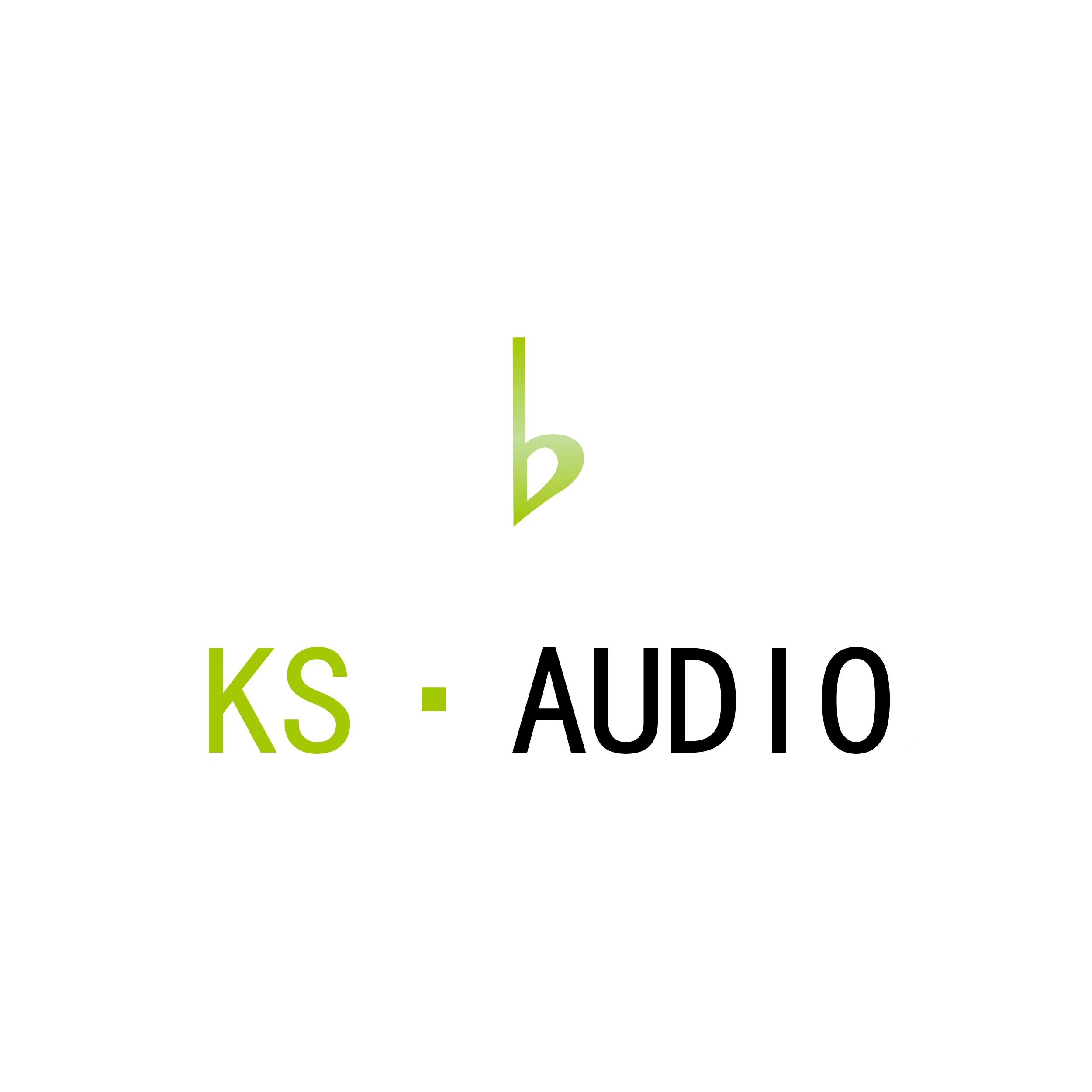 KS·AUDI0-01