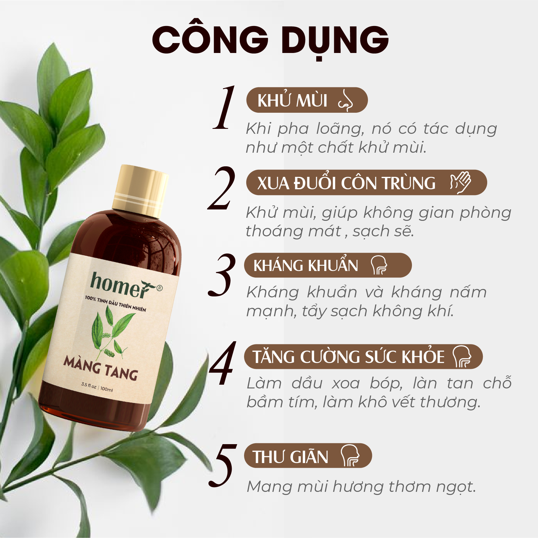 Tinh dầu thiên nhiên Màng Tang Homer - Dung tích 20ml / 100ml/ 500ml/ 1000ml - Đạt chuẩn kiểm định cao cấp - An toàn cho sức khỏe - Đa công dụng