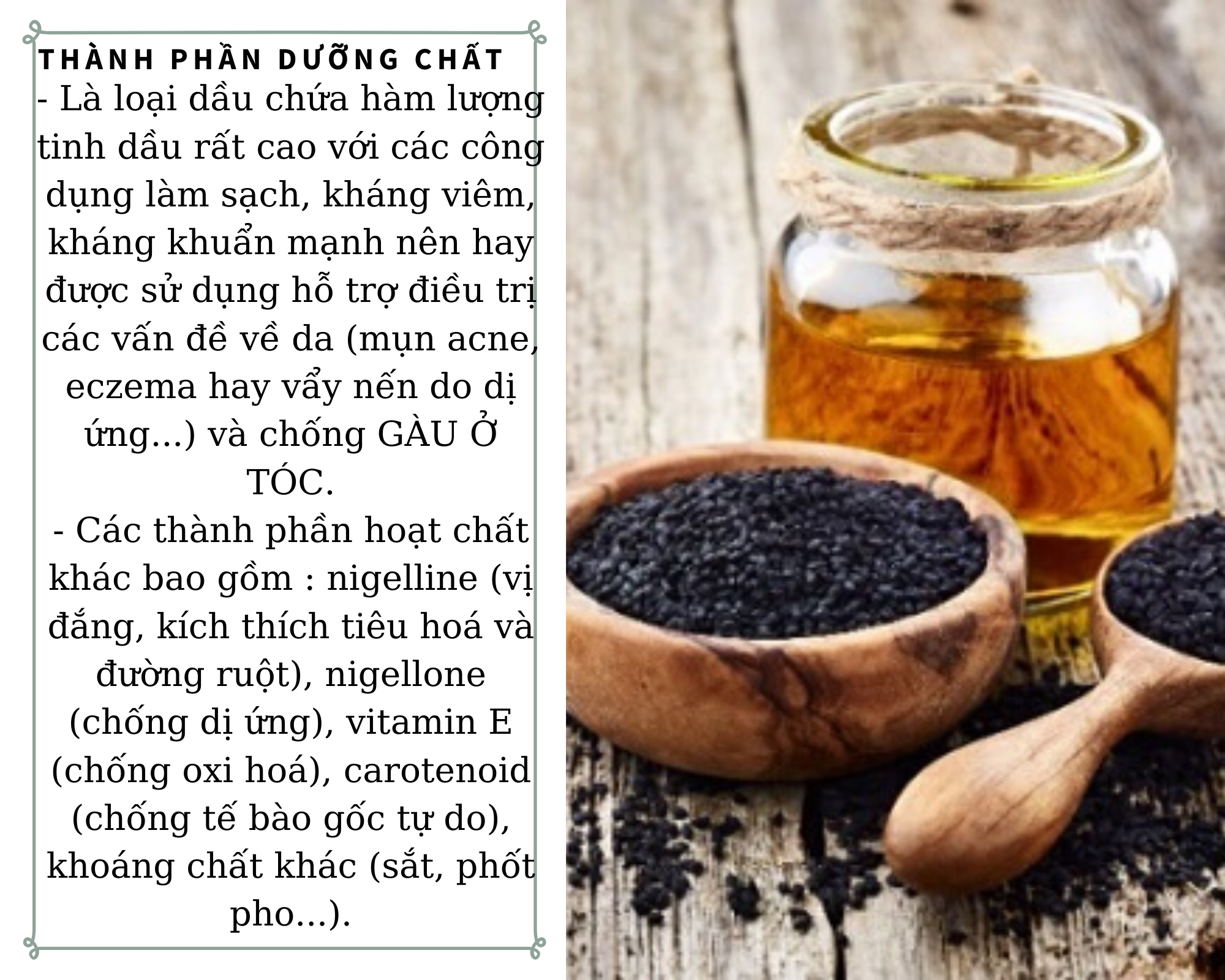 Dầu hạt thì là đen- Black cumin seed oil