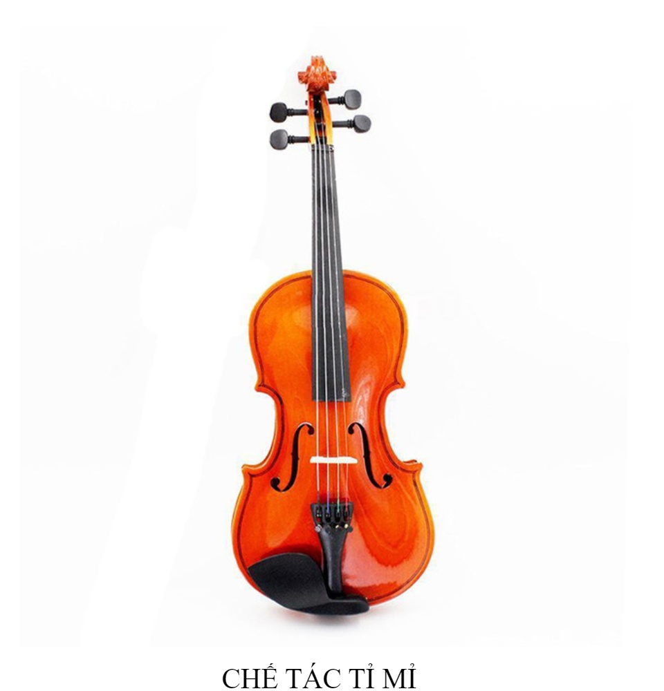 Bộ Đàn Violin ShangHai11605 Size 4/4 - FULL Phụ Kiện