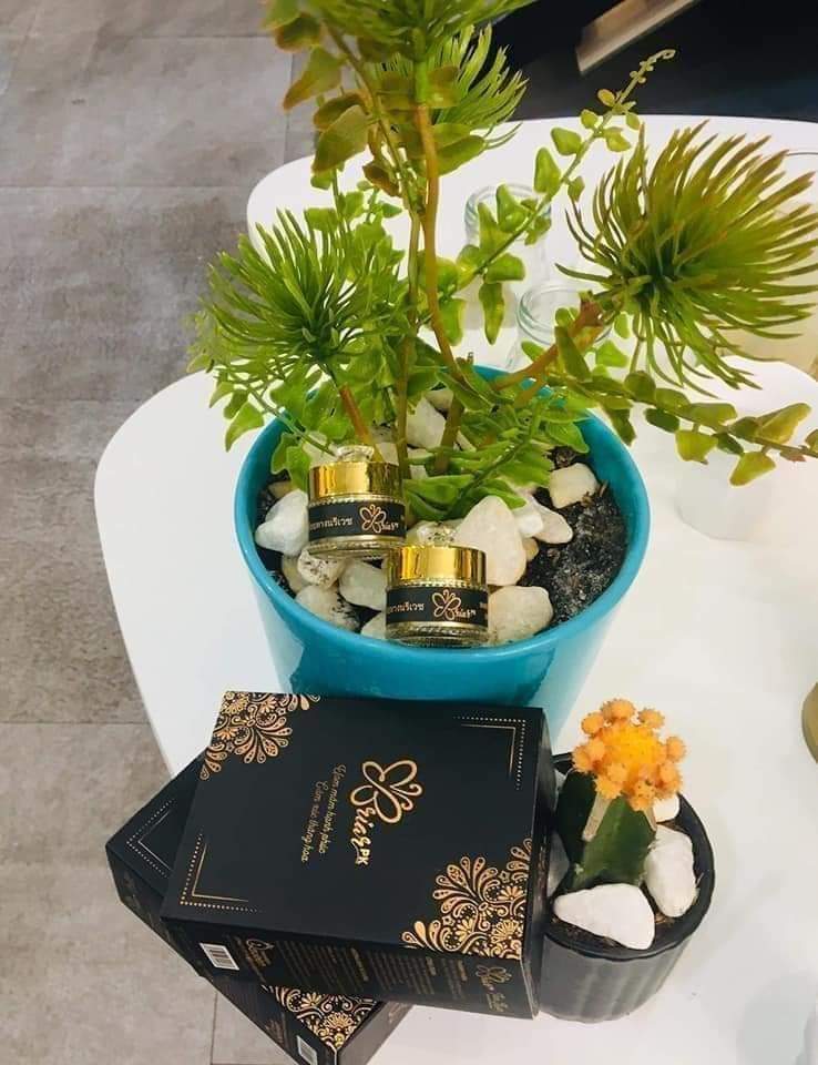 [HCM] Nguyên hộp viên đặt briar thảo mộc tầm xuân thái lan