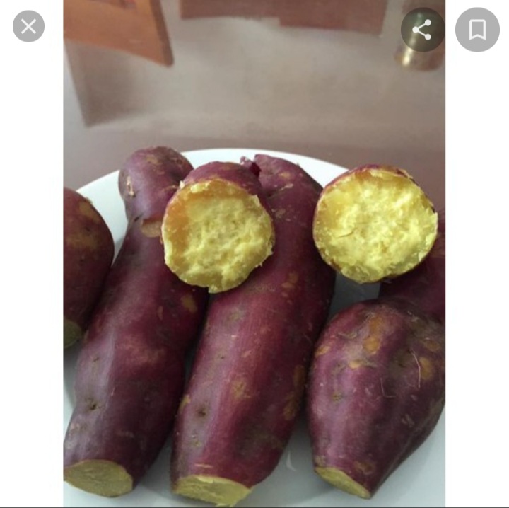 khoai lang vàng ngon ngọt bở bột,bổ rẻ