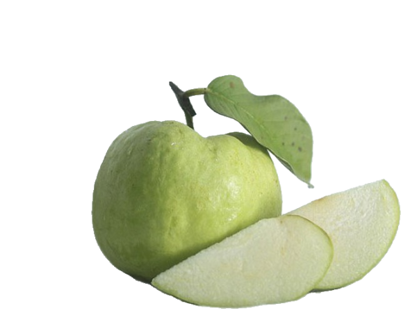 Ổi Nữ Hoàng (1kg/Vỉ)