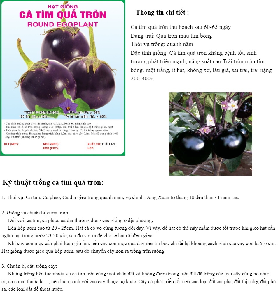 Hạt giống Cà Tím quả Tròn PSV141 (hạt giống bmt )