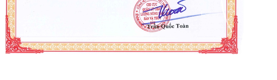 500G Hạt mắc ca Đắk Lắk - Hạt macca Đăk Lắk