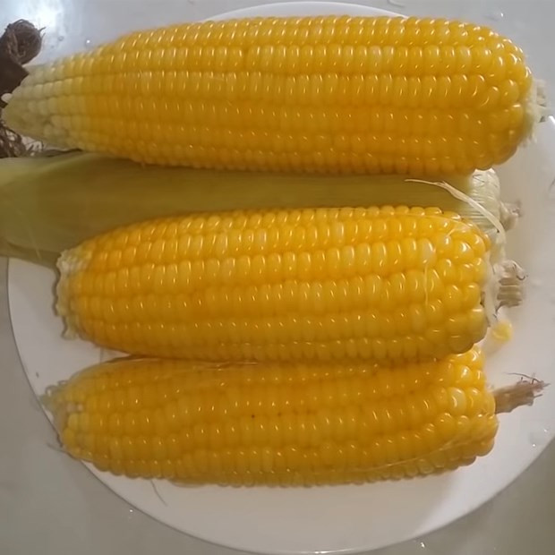 Bắp mỹ tươi / Ngô mỹ tươi / Giao Hàng TP HCM Nhanh