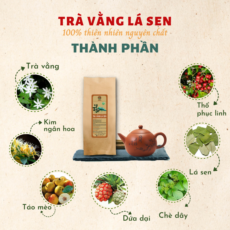 Trà vằng lá sen Đông y gia truyền Thông Cát , Trà Vằng lá sen - giảm cân nhanh cấp tốc, tan mỡ bụng, giảm mỡ đùi, lợi sữa chỉ sau 7 ngày - Trà thảo mộc Thông Cát