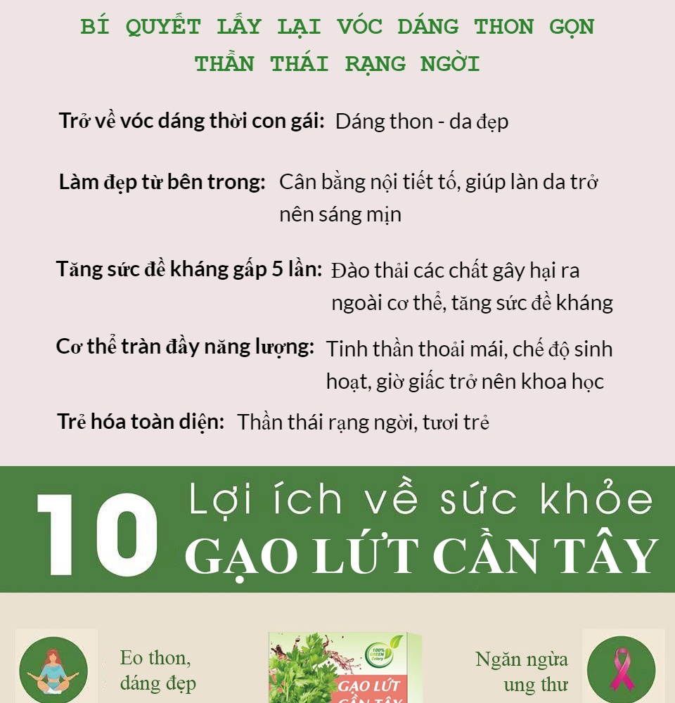 Bột cần tây gạo lứt [Chính Hãng] tạm biệt mỡ thừa đẹp đáng đẹp da (Hộp 14 gói)