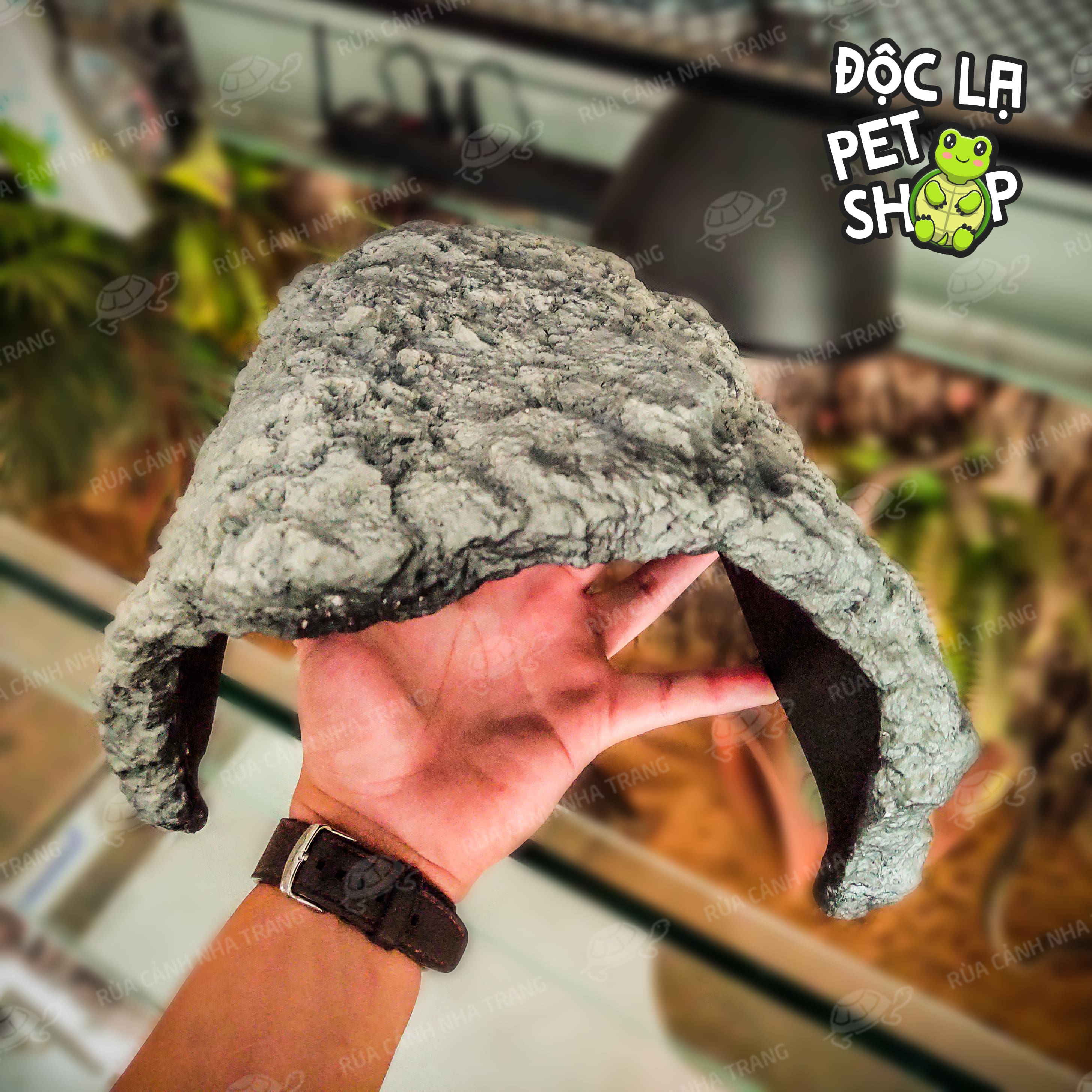 HANG TRÚ CHO BÒ SÁT, THÚ CƯNG NHỎ CÁ CẢNH, DECOR HỒ CÁ