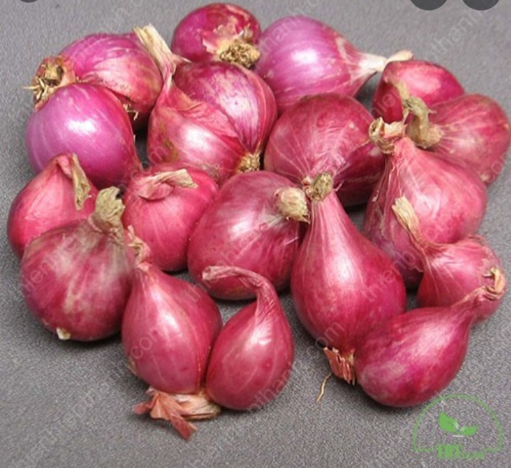 1kg tỏi tía ta khô và hành tím thơm ngon chuẩn vị .giao nhanh khu vực TPHCM