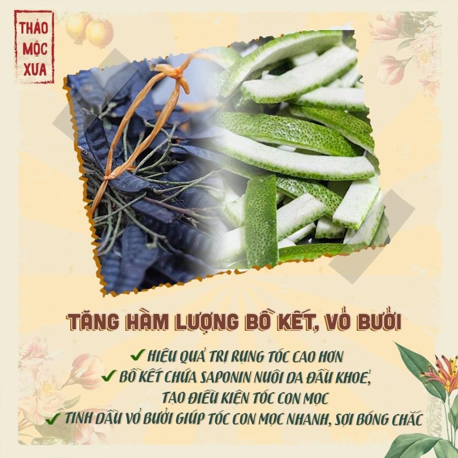 Dầu Gội Bồ Kết Thảo Dược Kích Thích Mọc Tóc Ngăn Rụng Tóc Giảm Ngứa Gàu Thảo Mộc Xưa Organic 500ml Hiệu Quả Sau 7 Ngày Miquala