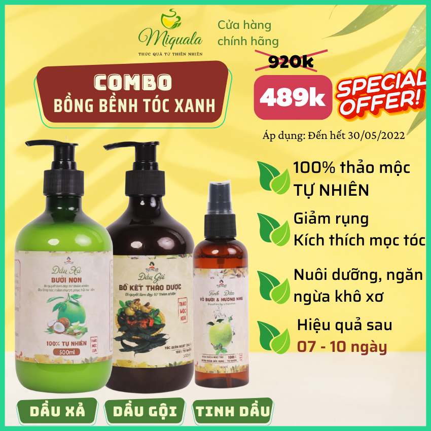 Dầu Gội Bồ Kết Thảo Dược Kích Thích Mọc Tóc Ngăn Rụng Tóc Giảm Ngứa Gàu Thảo Mộc Xưa Organic 500ml Hiệu Quả Sau 7 Ngày Miquala