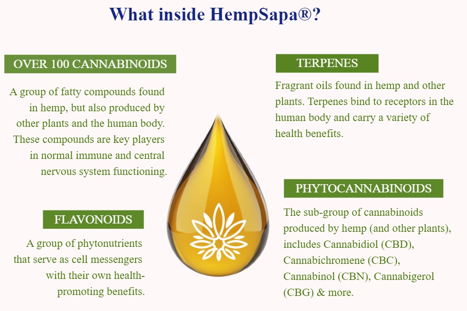 Hempsapa CBD softgel Capsules 5% - Viên nang tinh dầu CBD