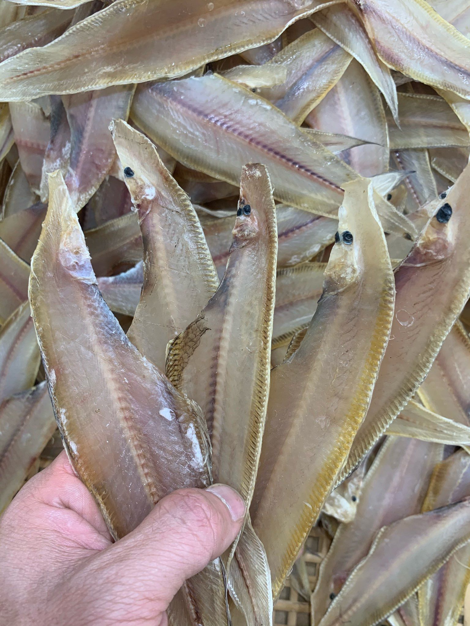 Cá khô nhỏ, Cá khô giá rẻ - Khô cá Lưỡi Trâu loại 1 Thơm Ngon, Giàu Dinh Dưỡng - Cam kết 100% từ Tự Nhiên, An Toàn, Không chất Bảo Quản.-500gr,200gr,100gr