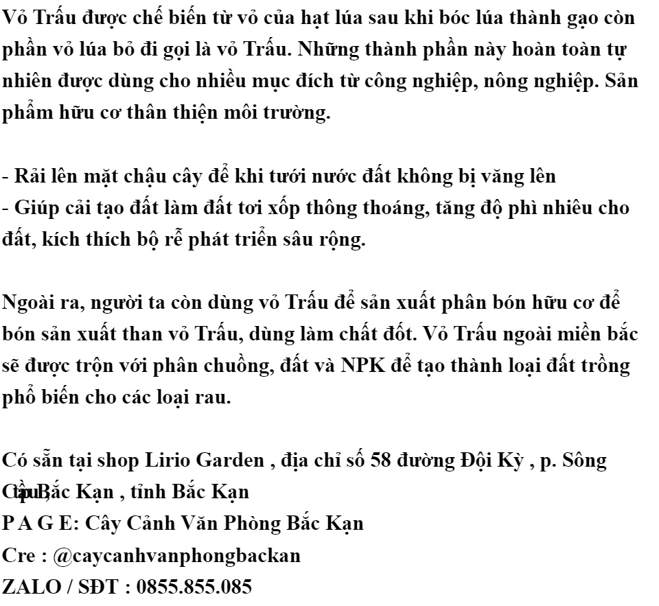 vỏ trấu khô