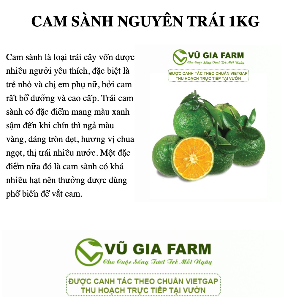 VG FARM  Cam Sành Nguyên Trái Mọng Nước