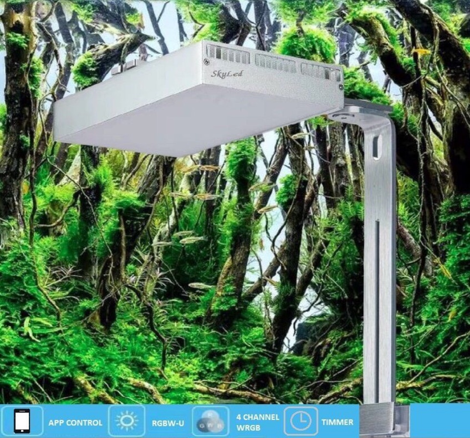 Hcm đen Led Thủy Sinh Wrgbu Skyled Tank đen Hồ Ca Thucungspa Com