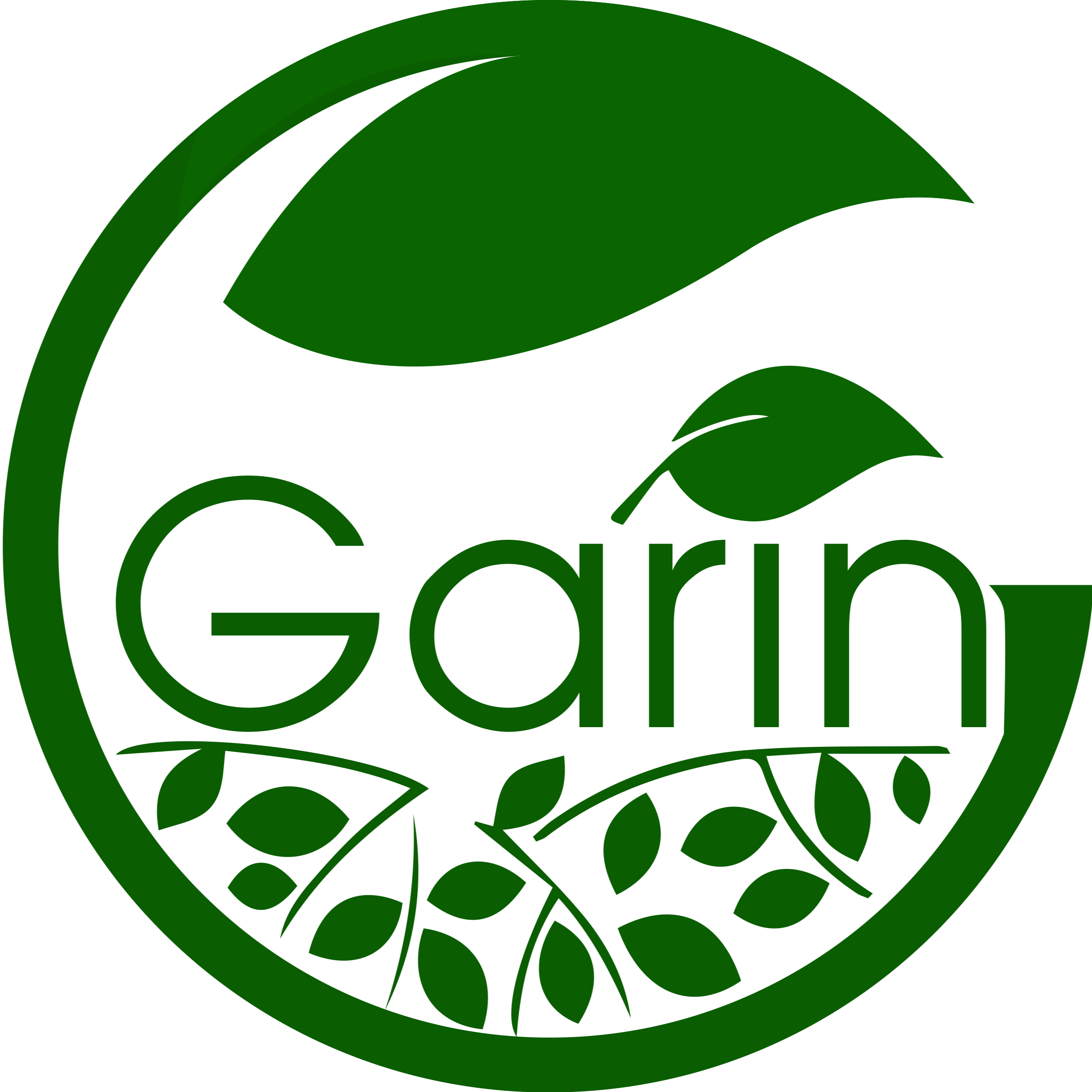 GARIN