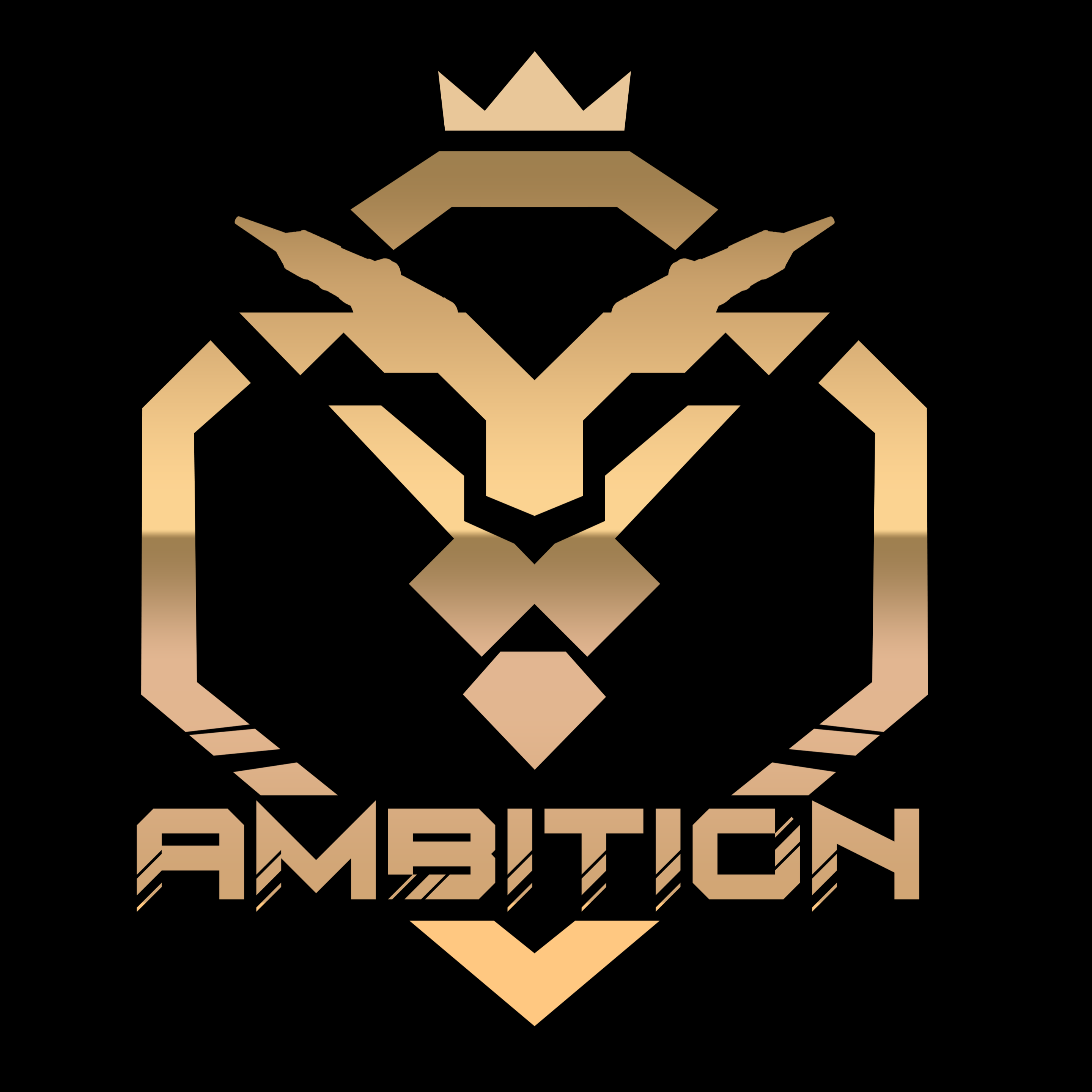AMBITION Tattoo Equipment