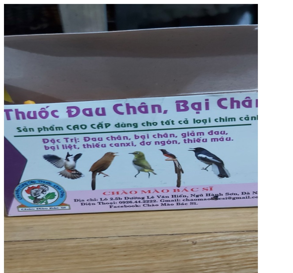 Chim Chào mào -Phú nhuận, HCM