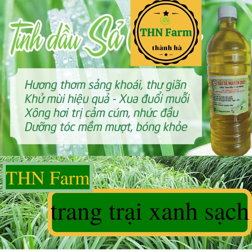 TINH DẦU XẢ  NGUYÊN CHẤT Đuổi Muỗi Côn Trùng.Tinh Dau Sả Chanh Lau Nhà Khử Mùi Kháng Khuẩn/dầu sả ép nguyên chất 100%.CHỐNG MUỖI -DIỆT MUỖI-LÀM ĐẸP  -LAU NHÀ.THN Farm +Tặng Kèm Quà