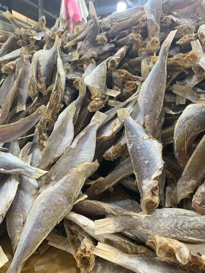 Cá khô đù, khô cá đù 1 nắng đặc sản Phan Thiết thịt trắng, dày, thơm ngon,đóng túi hút chân không 500gram