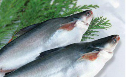 Khô cá tra phồng Châu Đốc An Giang - BAO NGON, BAO CHẤT LƯỢNG 1kg, 500gr, 100gr