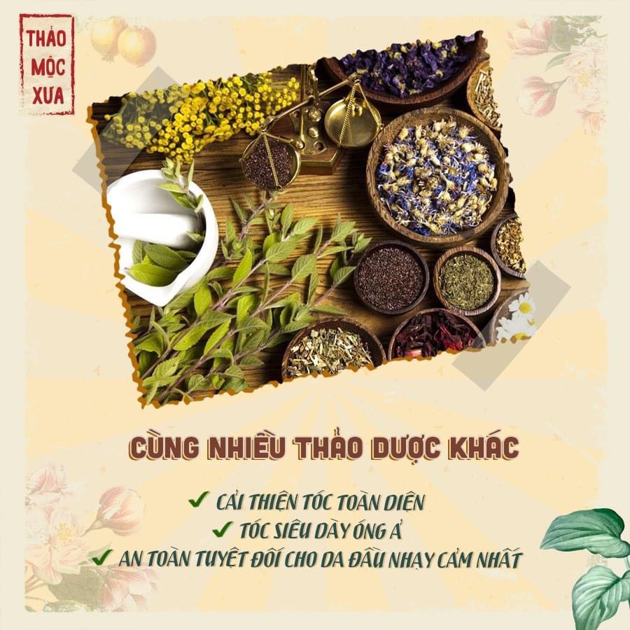 Dầu Gội Bồ Kết Thảo Dược Kích Thích Mọc Tóc Ngăn Rụng Tóc Giảm Ngứa Gàu Thảo Mộc Xưa Organic 500ml Hiệu Quả Sau 7 Ngày Miquala