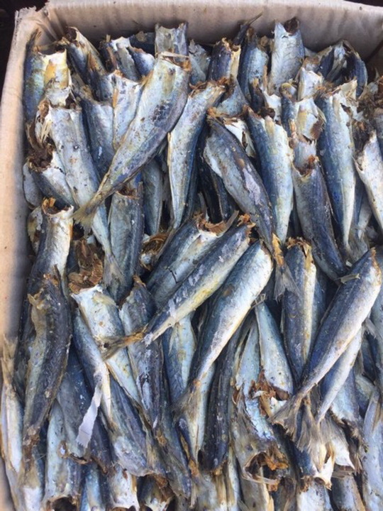 Cá Khô Chiên Đường, Khô Cá Nục không Đầu Đặc Sản Cà Mau Thịt Săn Chắc, Thơm Ngon, Giàu Dinh Dưỡng Hút Chân Không Túi 200GRAM, 500Gram, 1 Kg