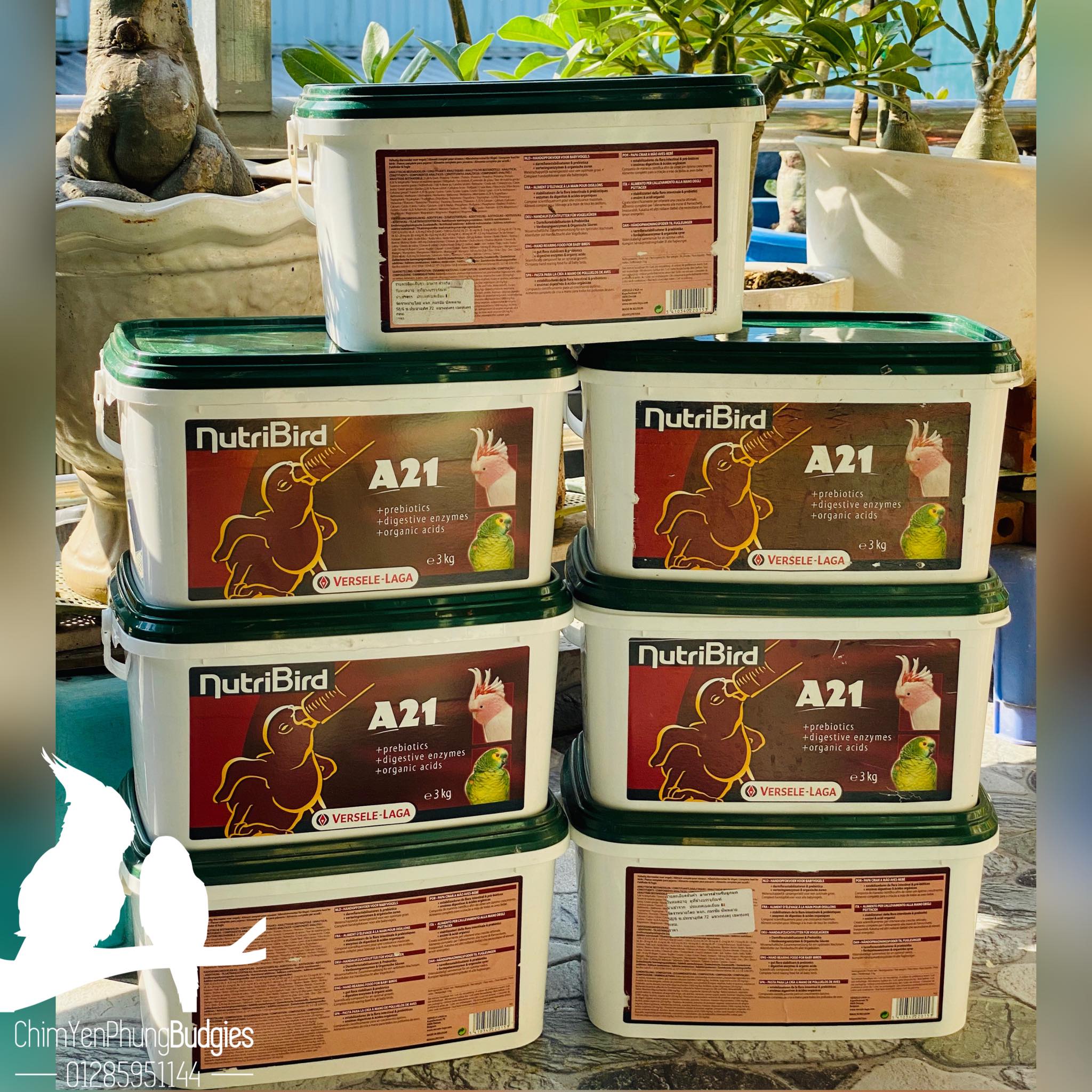 500g bột Nutribird A21 giàu dinh dưỡng cho vẹt non_XUẤT XỨ: BỈ - date mới.