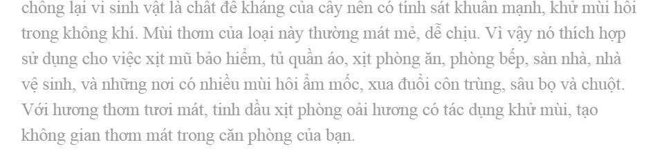 Tinh dầu xịt phòng oải hương OKING 50ml