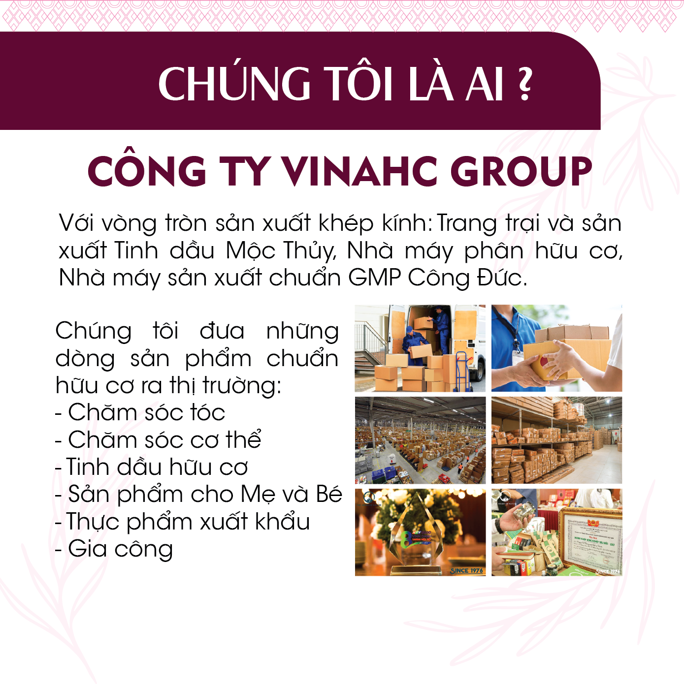Tinh dầu thiên nhiên Hoa Anh Đào 24Care 10ml/100ml - xông phòng, chăm sóc tóc và da