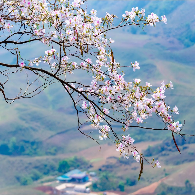 Tổng kho gia dụng Bích Ngọc