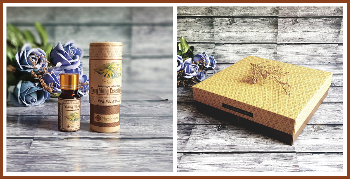 Quà tặng sếp nữ Ecolife - Boss Gift